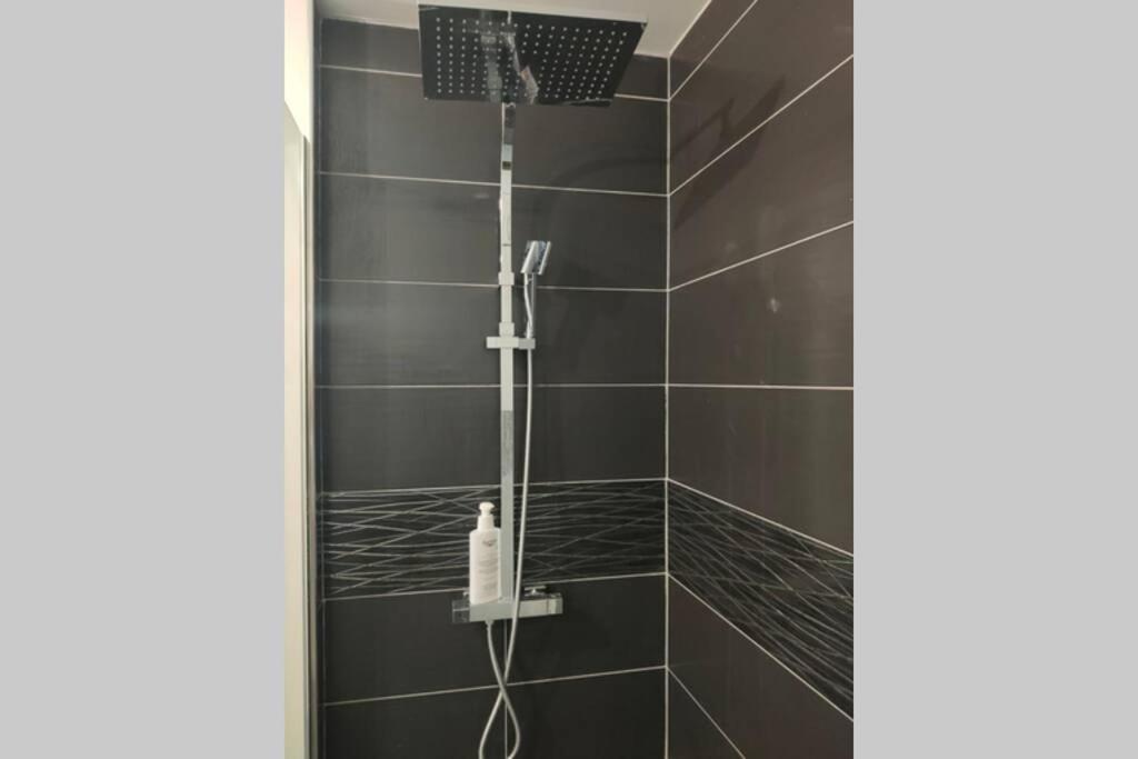Logement Entier+ Jardin Prive Et Parking 2Places Руан Экстерьер фото